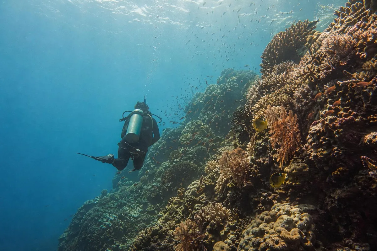 Scuba Diving