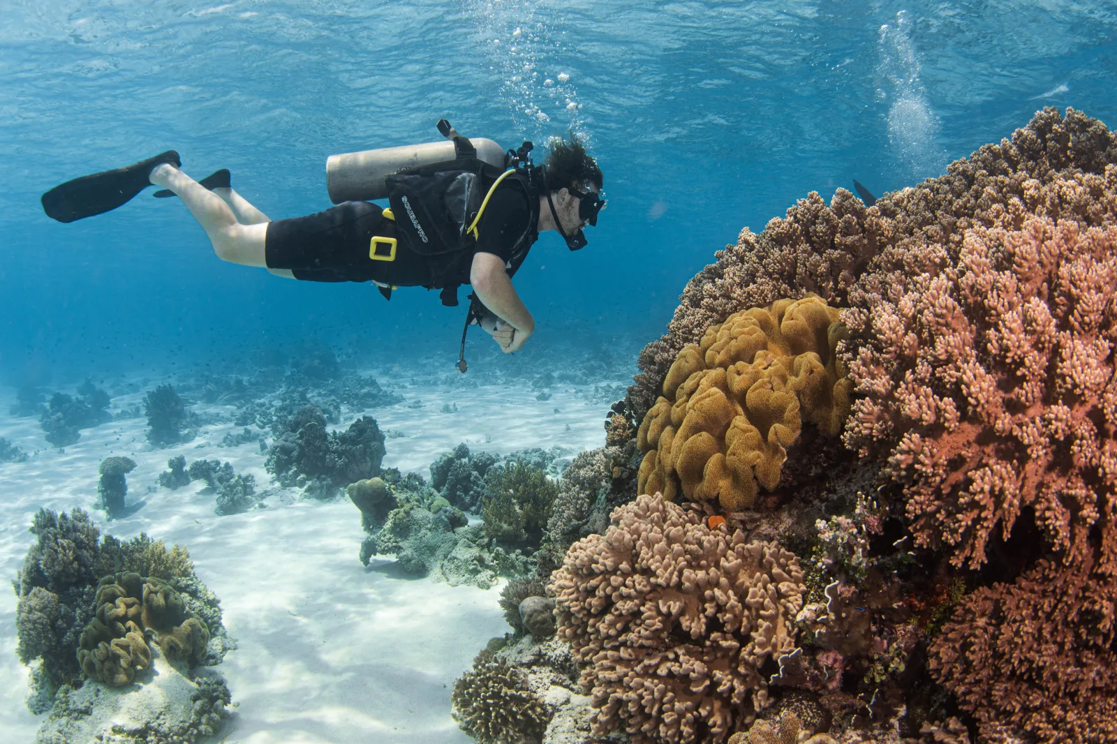 Scuba Diving