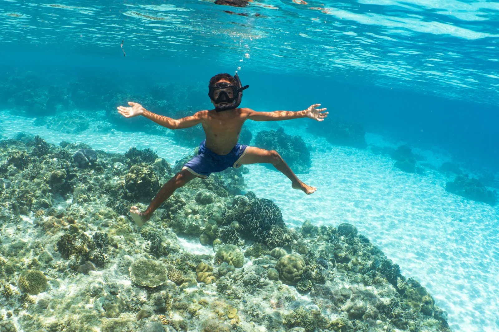 Snorkel Trips
